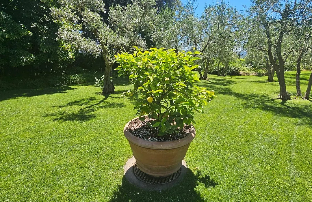 Villa Il Pino-1